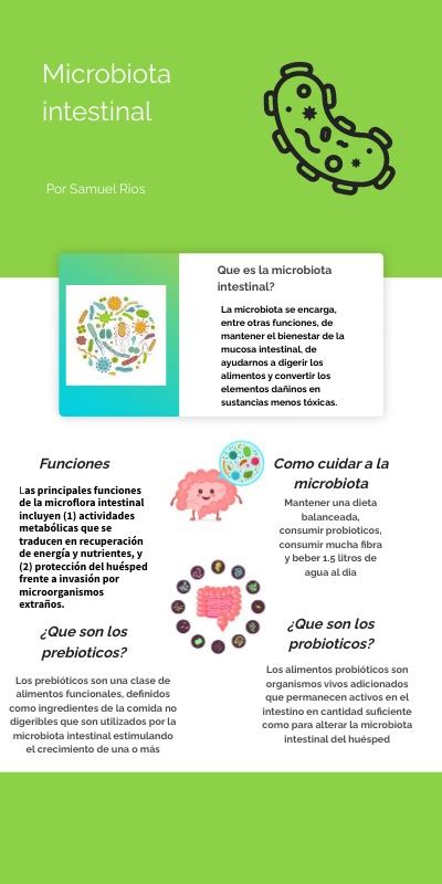 Infografia Microbiota Intestinal