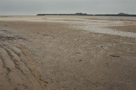 Free Photo Tidal Mudflat Ecosystem French Guiana