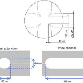 Microfluidic Chip Geometry Adapted From The Dolomite Product Datasheet