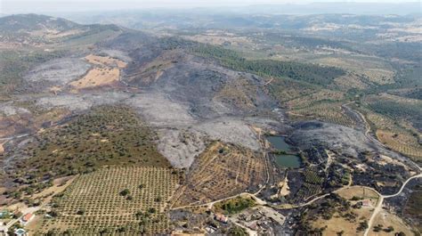 La superficie quemada por los incendios de 2021 en Córdoba será la peor