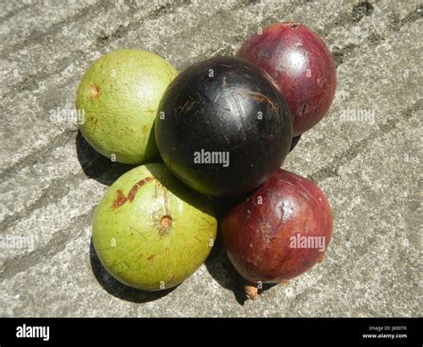 02859 Cuisine of Bulacan food 09 Stock Photo - Alamy