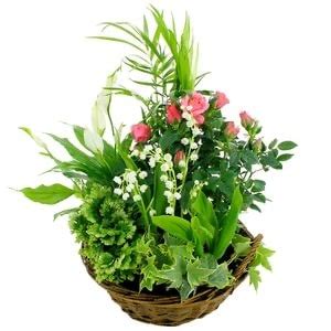 Composition De Muguet Avec Plantes Autant De Fleurs Aubagne