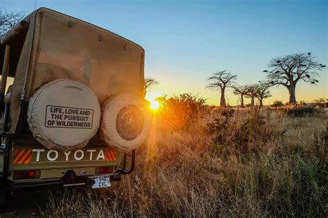 Inside Tanzania's Ruaha National Park • Your Ultimate Safari Guide