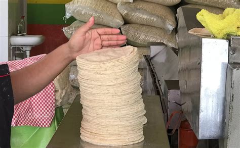 Anuncian Aumento Al Precio De Las Tortillas En Chetumal