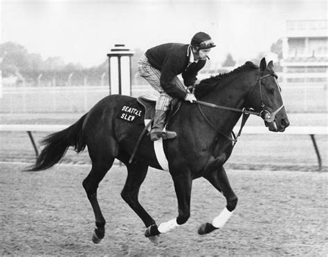 Seattle Slew Horse Racing #03 Photograph by Retro Images Archive - Pixels