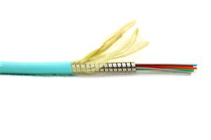 Core Multimode Um Om Armored Plenum Fiber Optic Wire Cable Tf