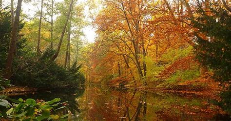 Autumn Travelling Through Berlin Imgur