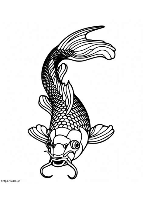 Carp 1 Coloring Page