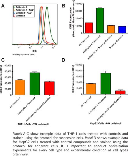 Ros Detection Cell Based Assay Kit Dhe