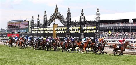 Melbourne Cup 2024 Betting Guide | Field | History | Odds