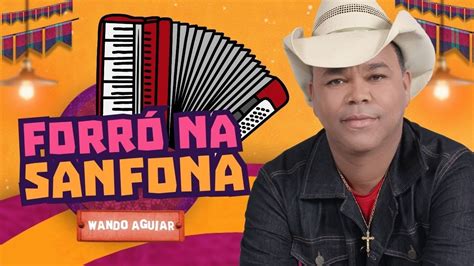 F S No Sanfonado Do Wando Shows M Sicas No Rep Rtorio Atualizado Ao P