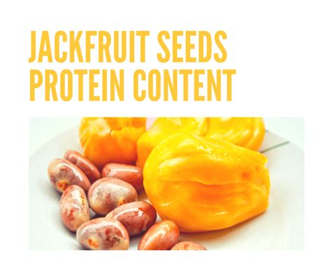 What Is The Jackfruit Seeds Protein Content Glossypolish