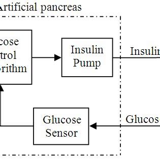 Closed Loop Control Of IDDM Patient Model With 5 Inputs And 2 Outputs