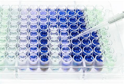 Customizable ELISA Assay Kits - Automation Update