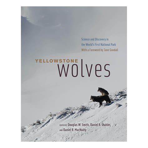 Book Yellowstone Wolves Science And Discovery In The Worlds First National Park Yellowstone