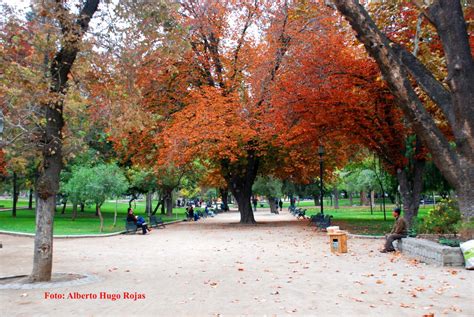 Alberto Hugo Rojas OTOÑO EN SANTIAGO DE CHILE