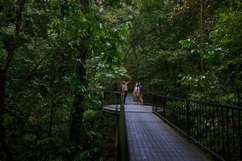 Daintree Mossman Gorge And Cape Tribulation Tour From Port Douglas