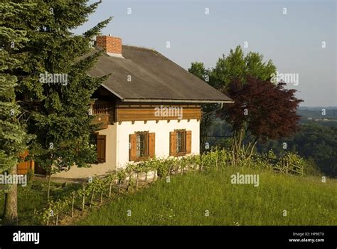 Wohnhaus Im Gruenen In Der Abendsonne House In Green Stock Photo Alamy