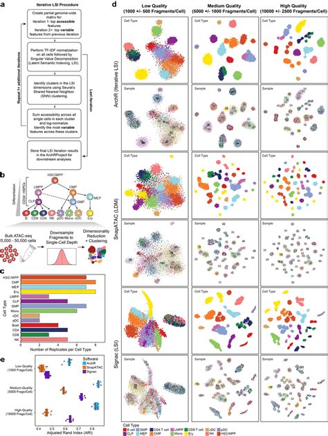 Benchmarking Of Performance Of Clustering Approaches In Archr