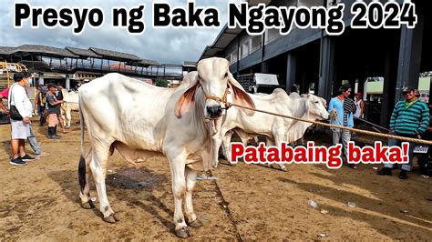 January Update Sa Presyo Ng Baka Sa Cattle Trading Capital Of