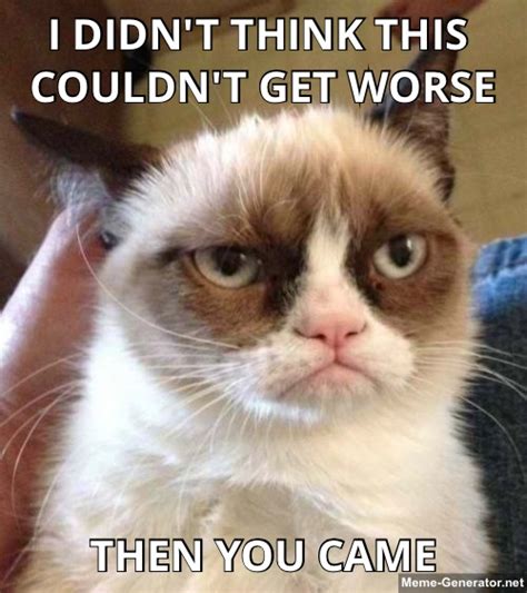 Grumpy Cat Meme Generator