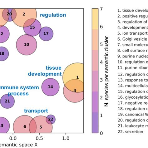 Semantic Similarity Scatterplot Of Go Biological Process Terms Enriched