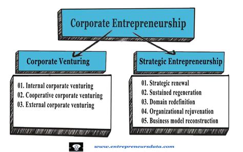 Corporate Entrepreneurship Meaning And Types Fully Explained