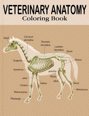 Animal Anatomy Coloring Pages