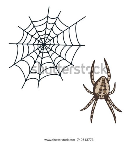 Redback Spider Vector: Over 166 Royalty-Free Licensable Stock ...