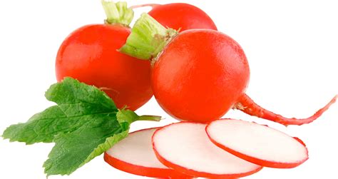 Radish Png Images 100