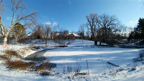 羽成飞 Unionville Library 雪景