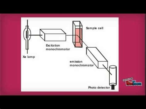 spectrofluorimetry youtube