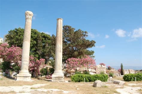 Sur (Tyre) ancient city ruins | Ancient cities, Historical place, Ancient