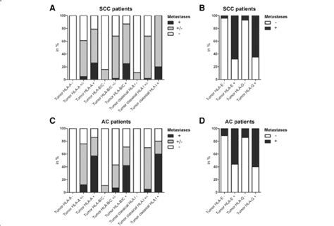 Hla Expression Distribution In Primary Tumor Samples Compared To Download Scientific Diagram