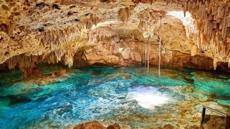 Cenotes En Canc N Los M S Impresionantes Info Quintana Roo