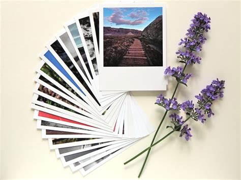 Fine Art Photography Postcard – Black and White Flower Center – Lola Masson