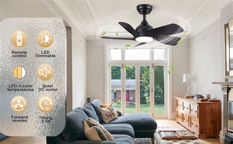 Yuhao 30 Inch Black Small Ceiling Fan With Light And Remote