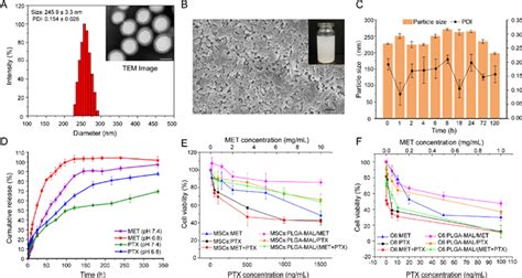 Leveraging Nano Engineered Mesenchymal Stem Cells For Intramedullary