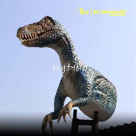 Life Size Velociraptor For Sale My Dinosaurs