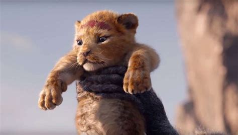 Simba is a vegan in new Lion King film – NewsThump