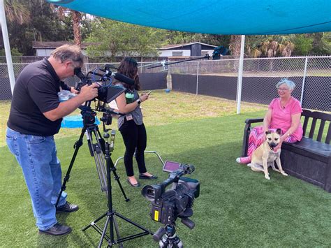 New staff will monitor the pasco county sheriff non emergency 19