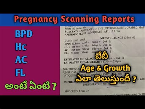 Bpd Hc Ac Fl Values In Pregnancy Scan Reports Full Details In Telugu