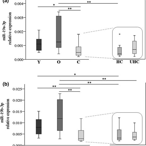 Validation Of Mir A B P By Rtqpcr Rtqpcr Results Of Mir A P