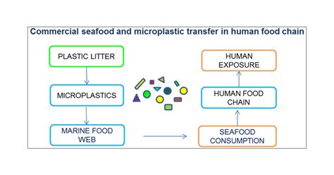 Occurrence Of Microplastics In Commercial Seafood Under The Perspective