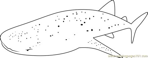 Whale Shark Belize Coloring Page for Kids - Free Whales Printable ...