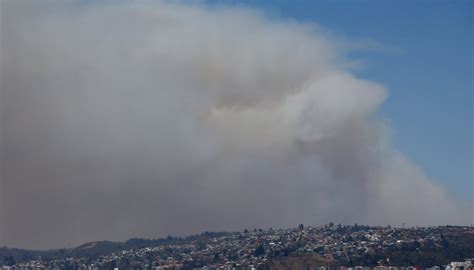 Hect Reas Ha Consumido El Incendio Forestal Entre El Sector De