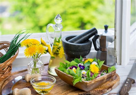 Die Kraft des Löwenzahns in der Küche: Leckere Rezepte