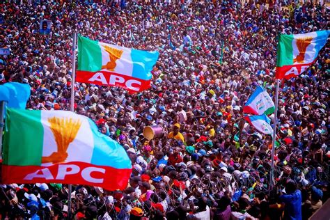apc sweeps  senatorial seats  reps  katsina daily nigerian