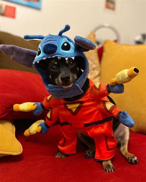 DISNEY Stitch Space Suit Dog & Cat Costume, X-Small - Chewy.com