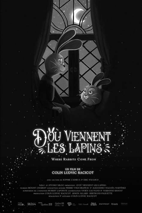 D où viennent les lapins Colin Ludvic Racicot Court métrage h264